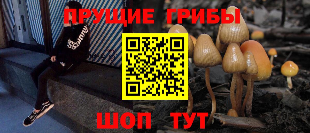 Белебей  Псилоцибиновые грибы Cubensis  Галлюциногенные грибы мицелий  Вход с VPN 